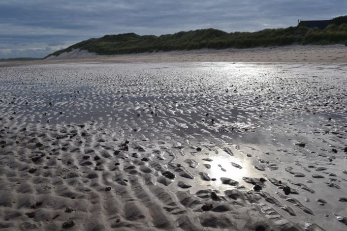 Budle Bay