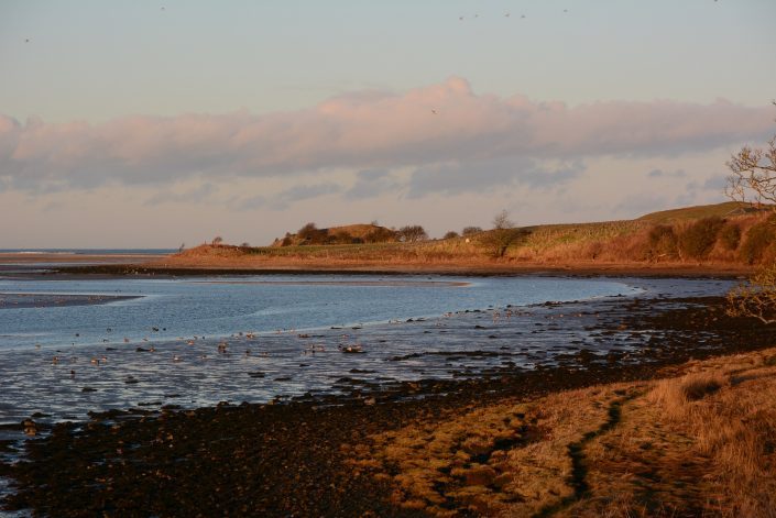 Budle Bay