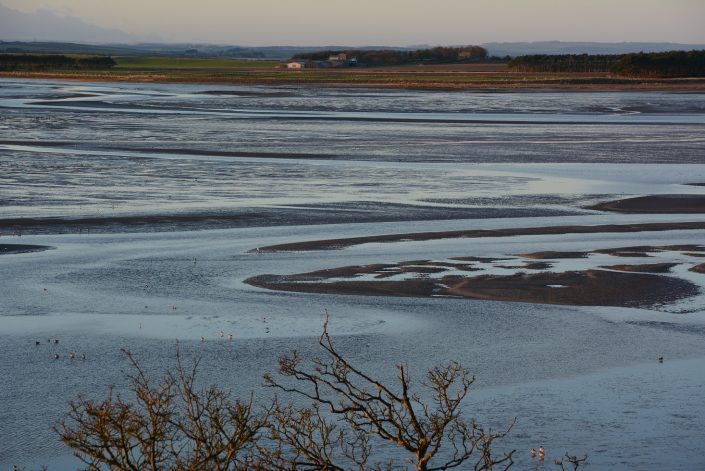 Budle Bay