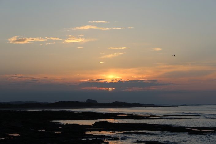 Farne Islands Sunset Boat Trip